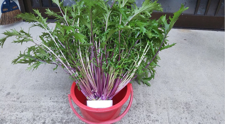 2021y11m23d_143941062