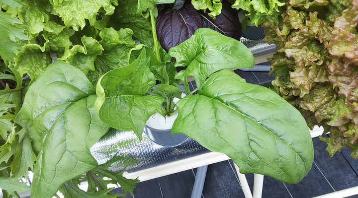 2021y11m23d_144854257