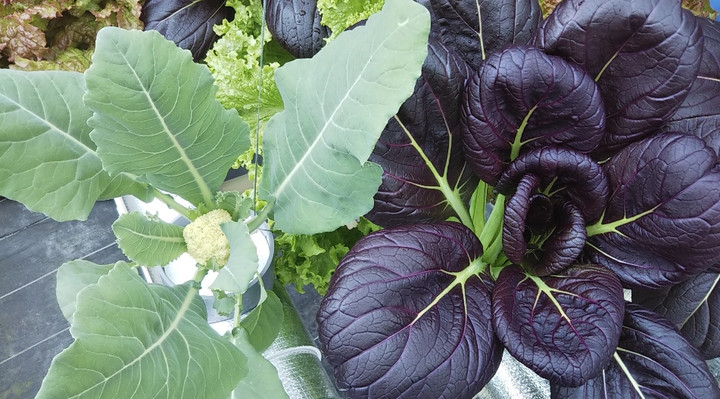 2021y11m23d_145101007