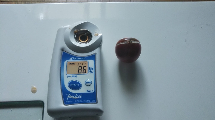 2021y12m05d_205847376