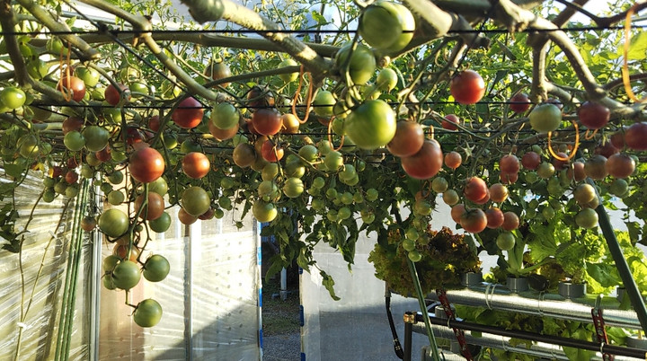 2021y12m05d_205911896