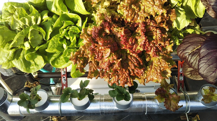 2021y12m05d_205923326