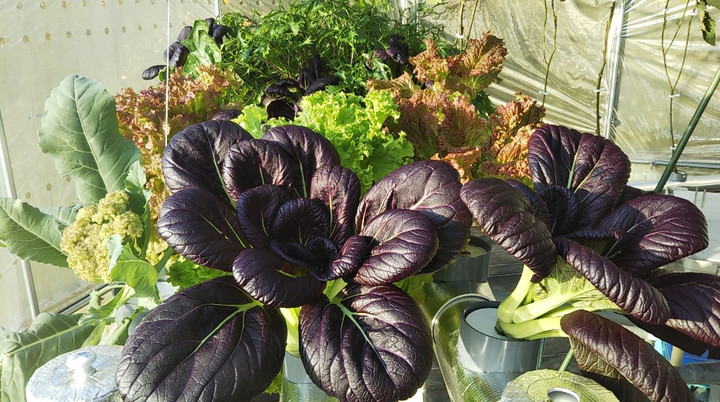 2021y12m05d_213707757