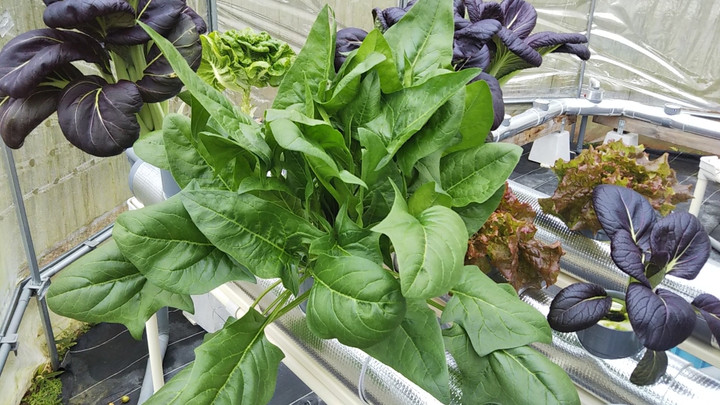 2022y01m23d_125650680