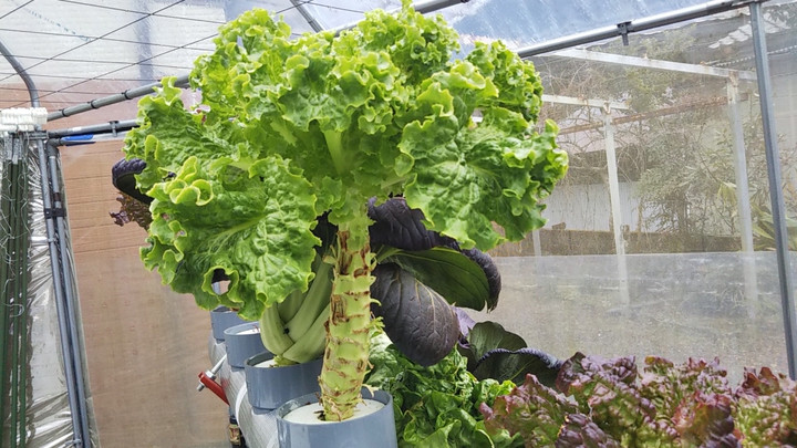 2022y01m23d_131202702