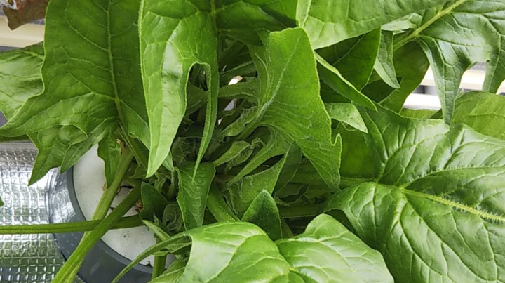 2022y01m23d_132015680