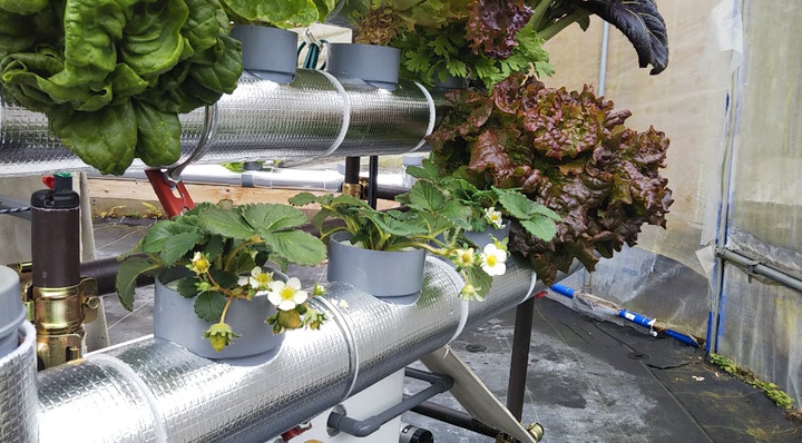 2022y01m23d_134302269