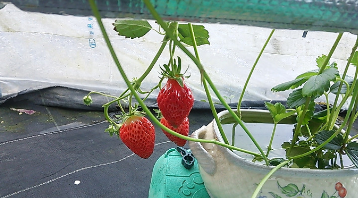 2022y01m23d_135215419