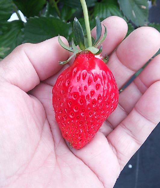 2022y01m23d_135455178