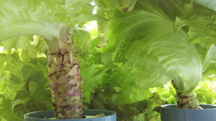 2022y05m01d_092155364