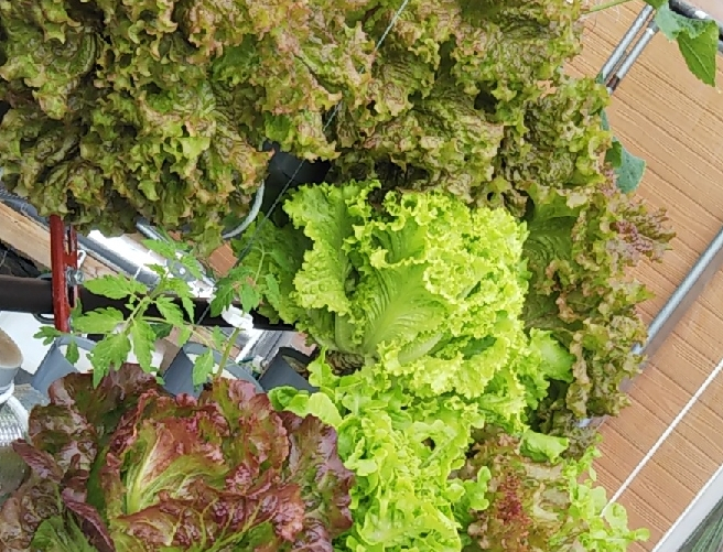 2022y05m01d_093108015