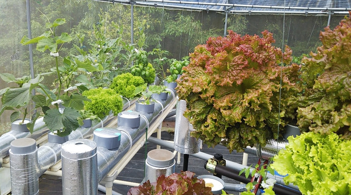 2022y05m01d_115527164