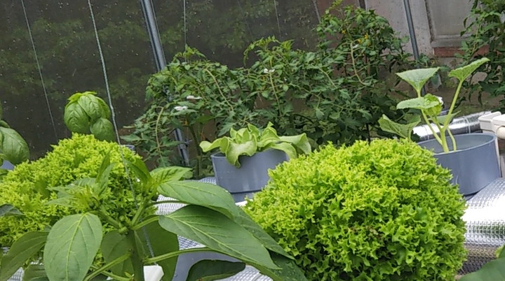 2022y05m15d_120705402