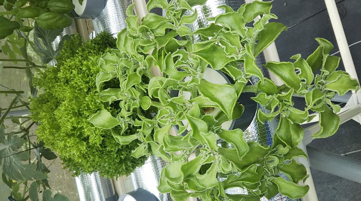 2022y05m15d_121220211