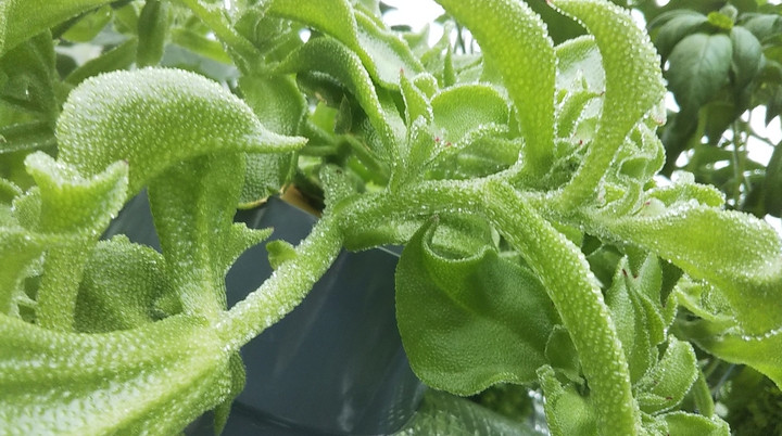 2022y05m15d_121330215