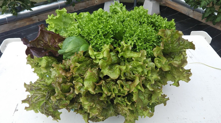 2022y05m15d_123919987