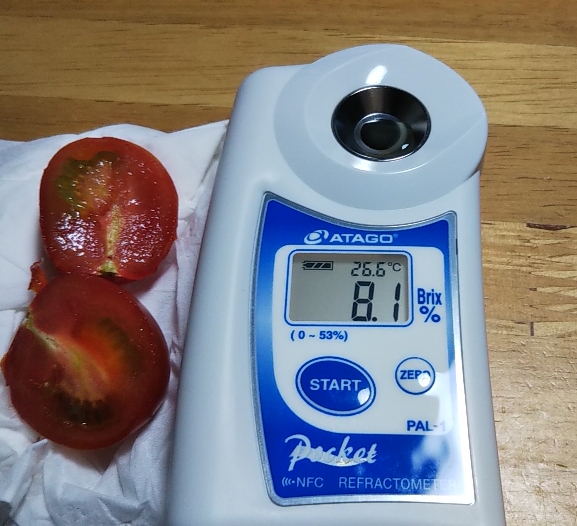 2022y06m04d_224158189