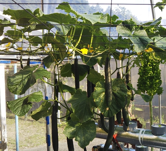 2022y06m04d_224501959