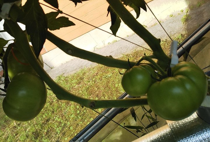 2022y06m04d_225412083