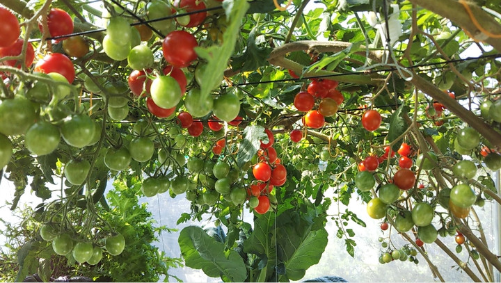 2022y11m03d_213738416