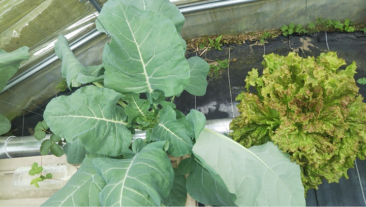 2022y11m03d_214323879