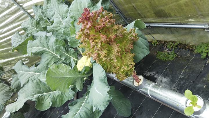 2022y12m04d_223549425