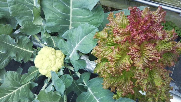 2022y12m04d_223949622