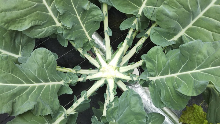 2022y12m04d_224212219