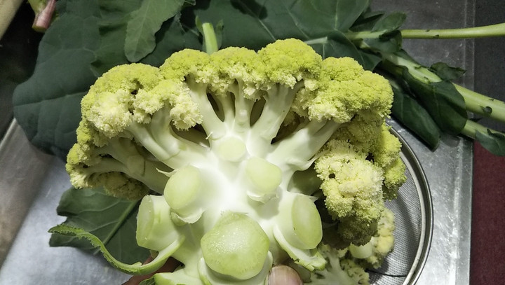 2022y12m04d_224332886