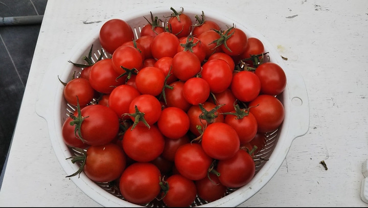 2022y12m04d_224730041