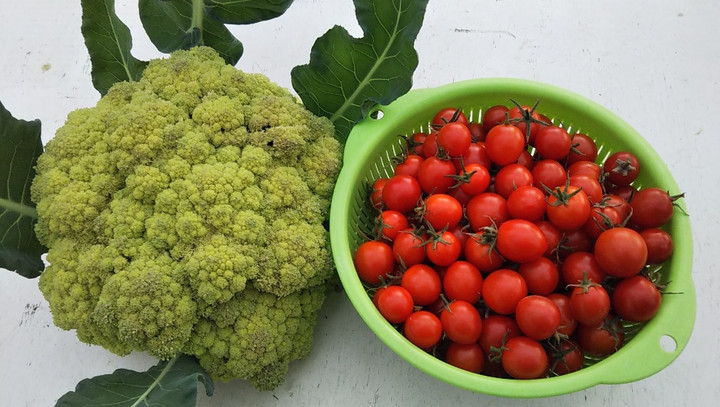 2022y12m17d_210112108