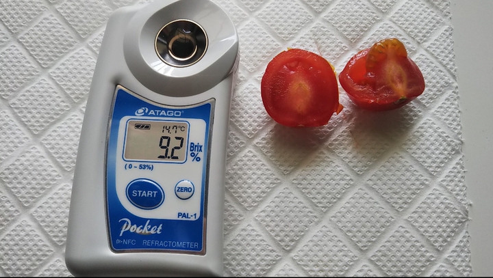 2022y12m17d_210447295