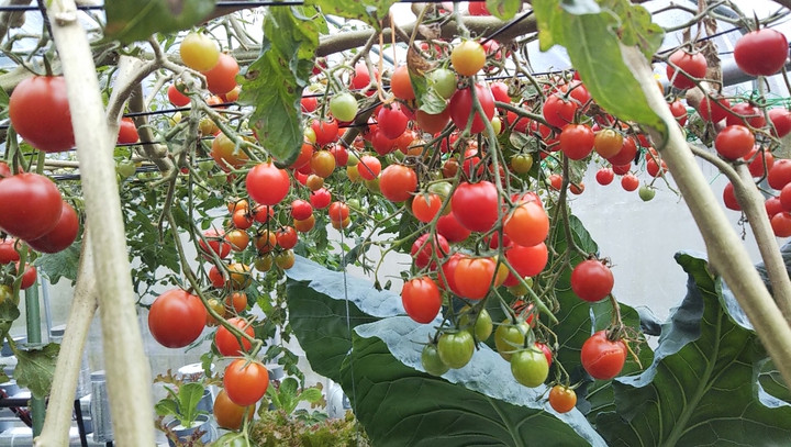 2022y12m17d_215246821