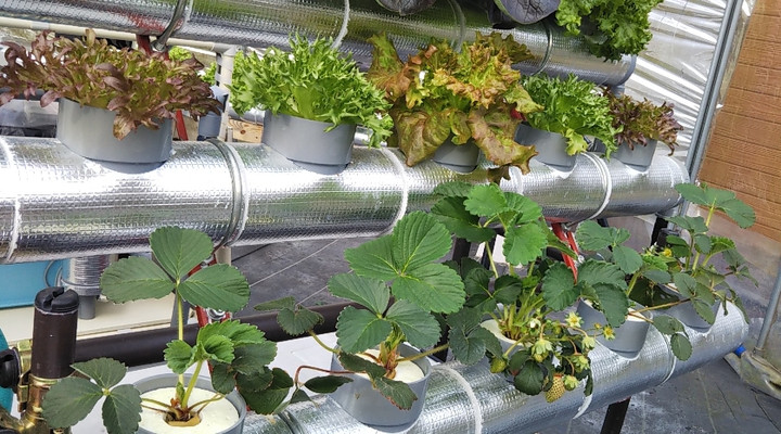 2023y03m18d_205500837