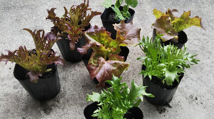 2023y03m18d_205842331