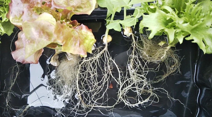 2023y03m18d_210106119