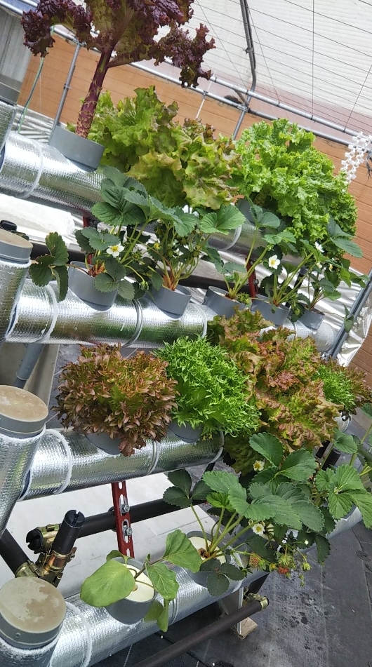 2023y04m02d_231840594_2