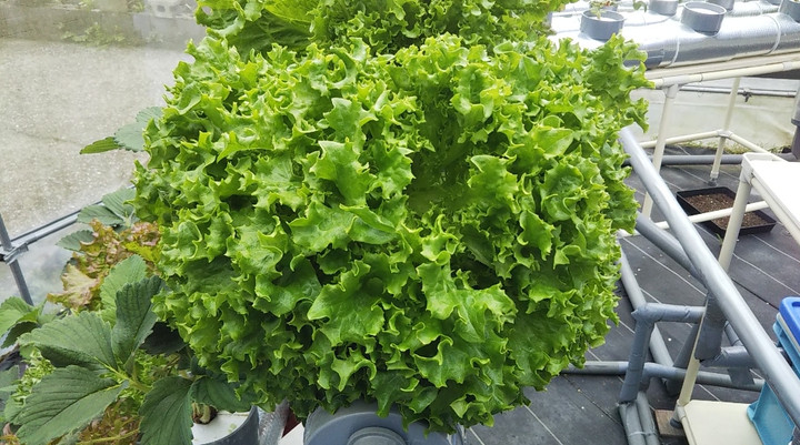 2023y04m02d_234057032