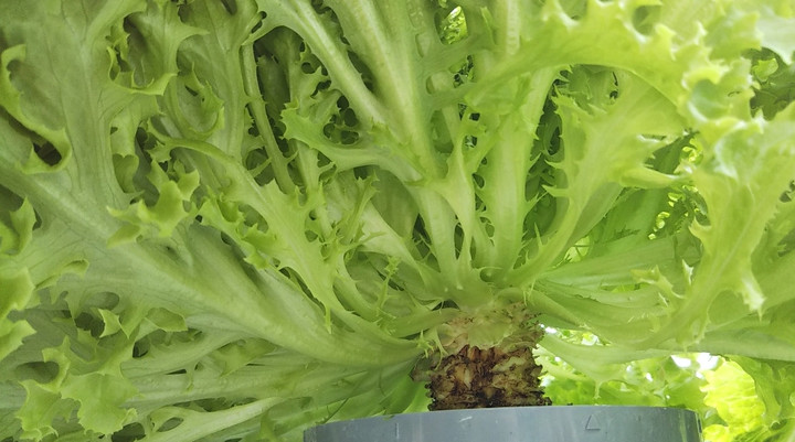 2023y04m02d_234232107