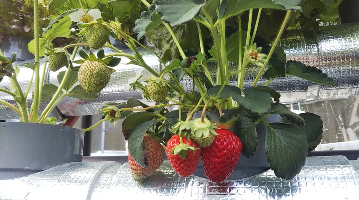 2023y04m02d_234741087