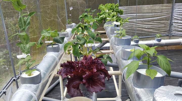 2023y04m02d_235855144