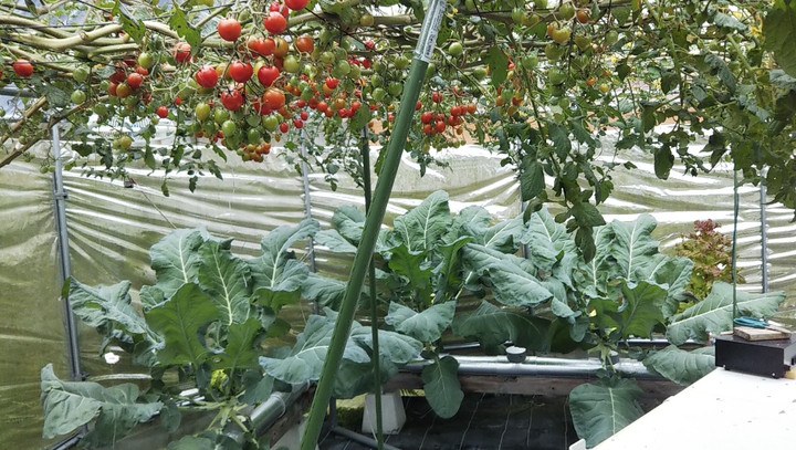 2022y12m04d_224622028