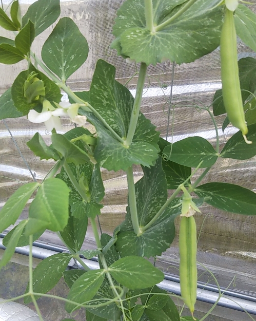 2023y04m13d_232218599