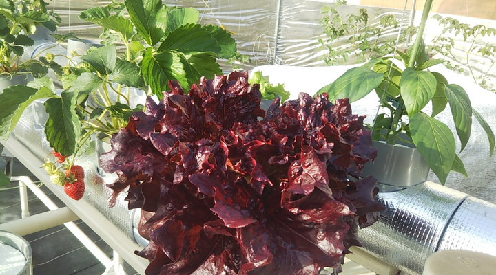 2023y04m13d_233153752