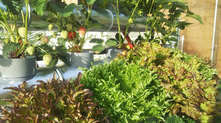 2023y04m13d_233235395