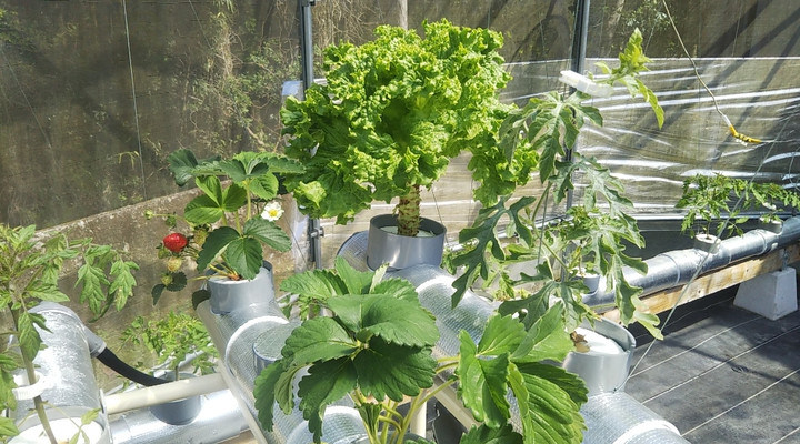 2023y04m13d_233358974