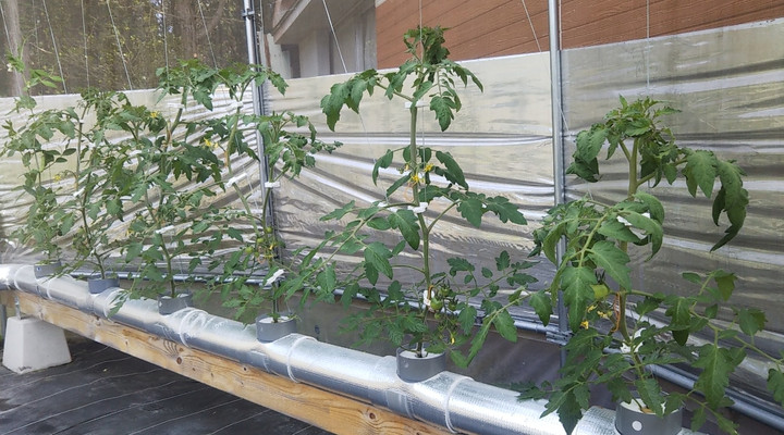 2023y04m13d_233525150