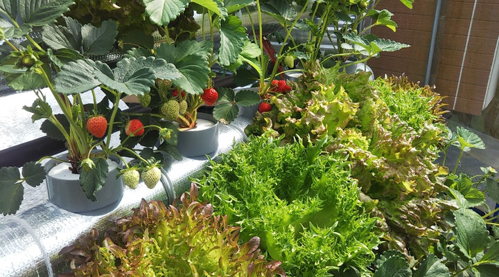 2023y04m16d_212746528