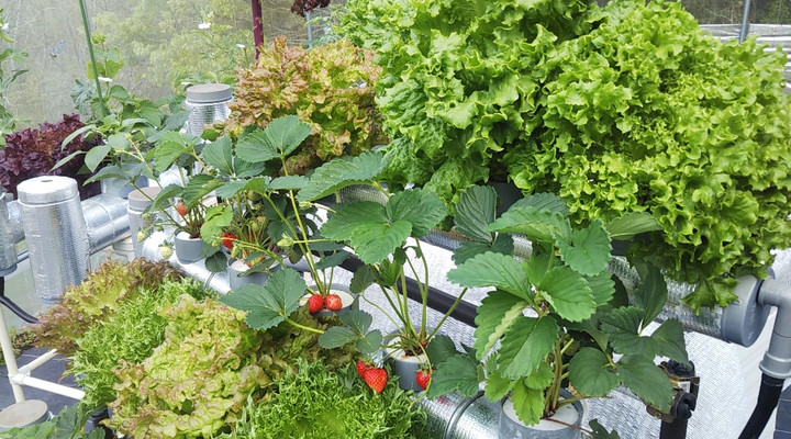 2023y04m16d_212815268