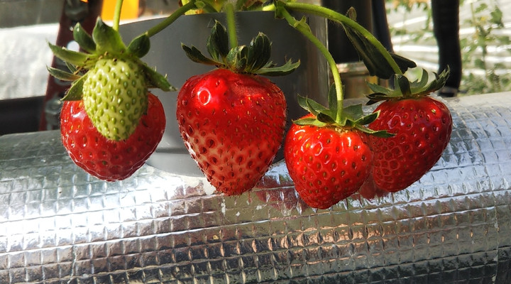 2023y04m16d_213340268